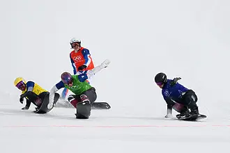 Австриец защити олимпийската си титла в бордкроса