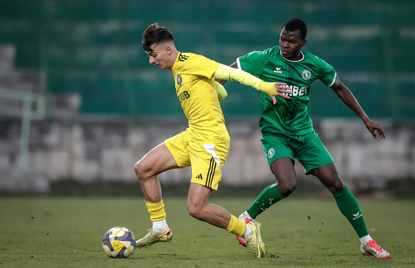 На живо: Ботев Враца - Добруджа (Състави)