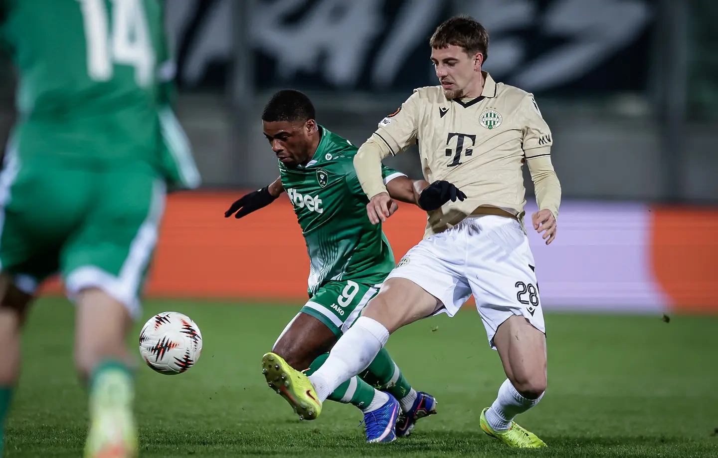 Квадво Дуа, Туун Раемаекерс / startphoto.bg