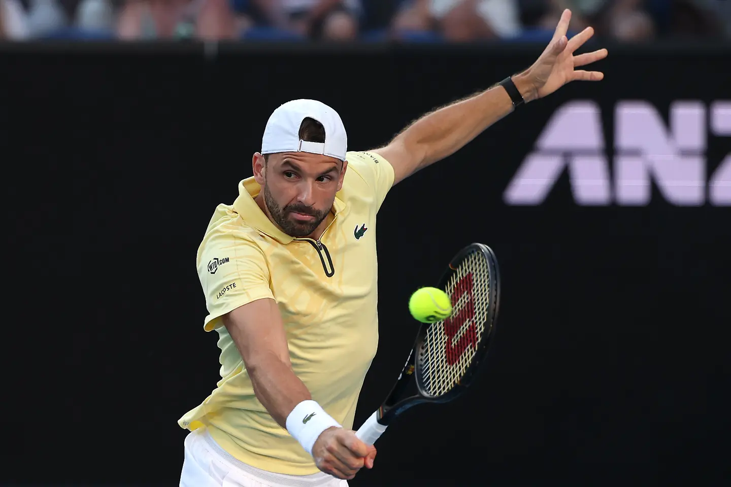 Григор Димитров / Getty Images