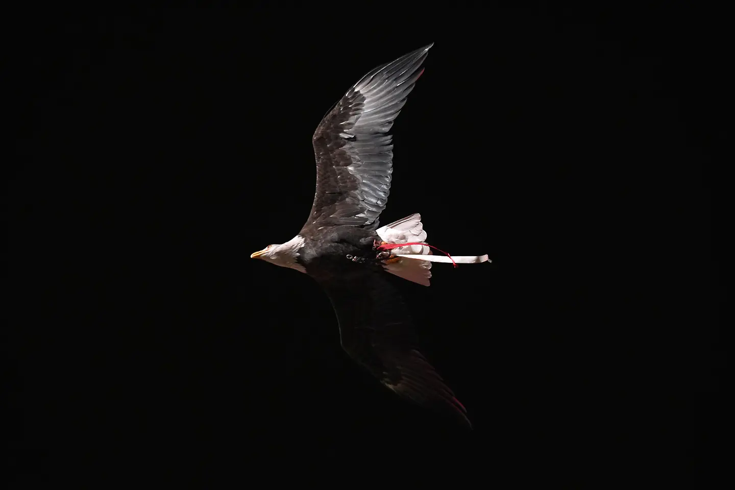 Реал Мадрид взе реванш срещу Бенфика, Винисиус в центъра на расистки скандал