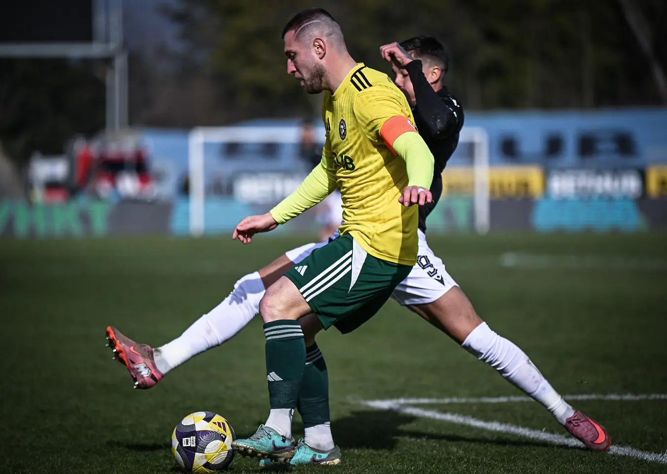 На живо: Добруджа - Черно море (Състави)