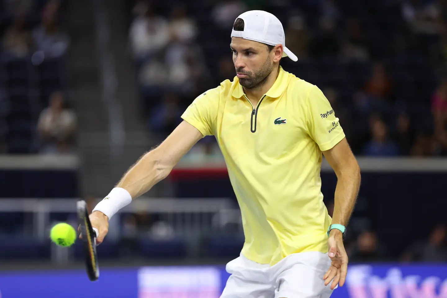 Григор Димитров / Getty Images