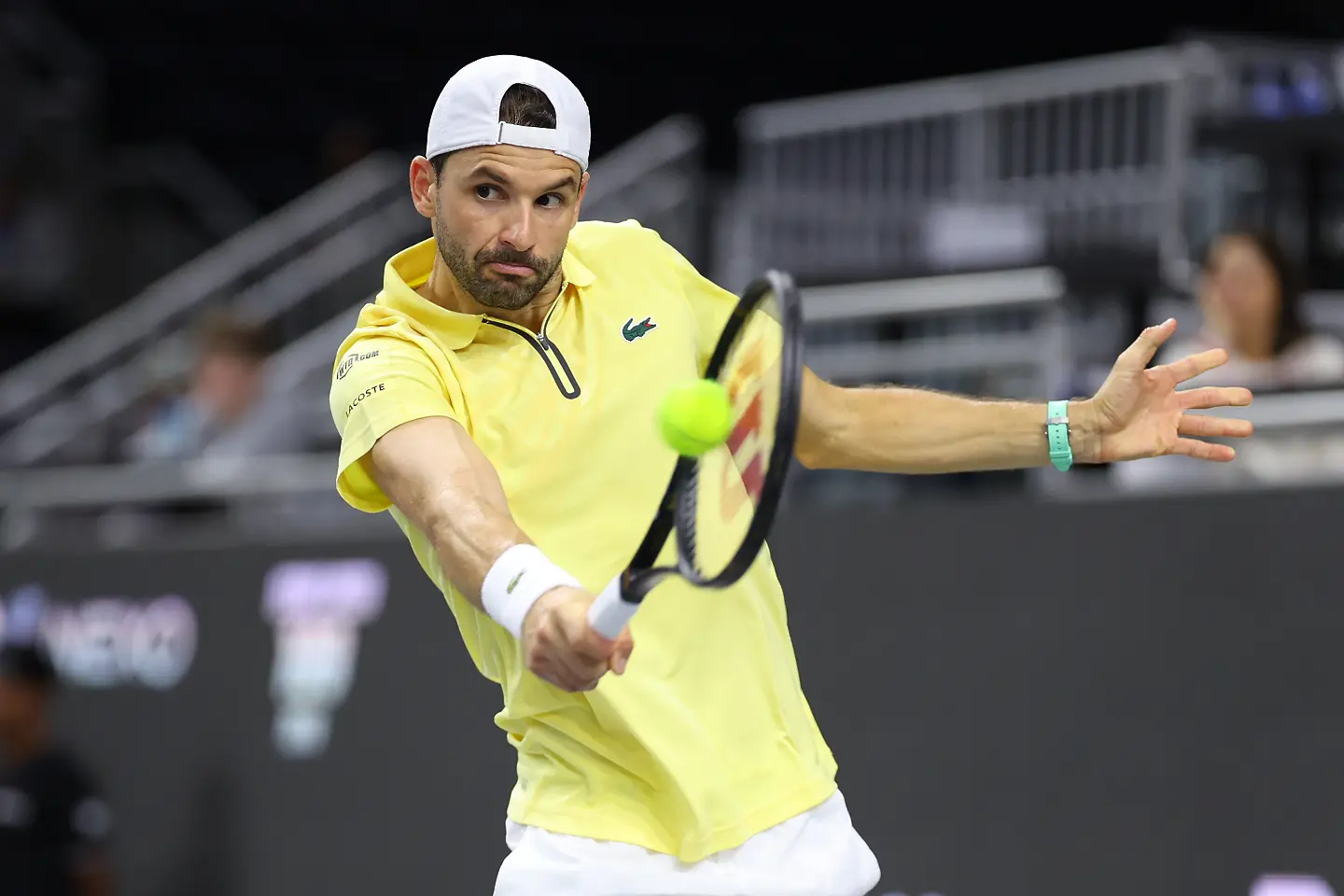 Григор Димитров / Getty Images