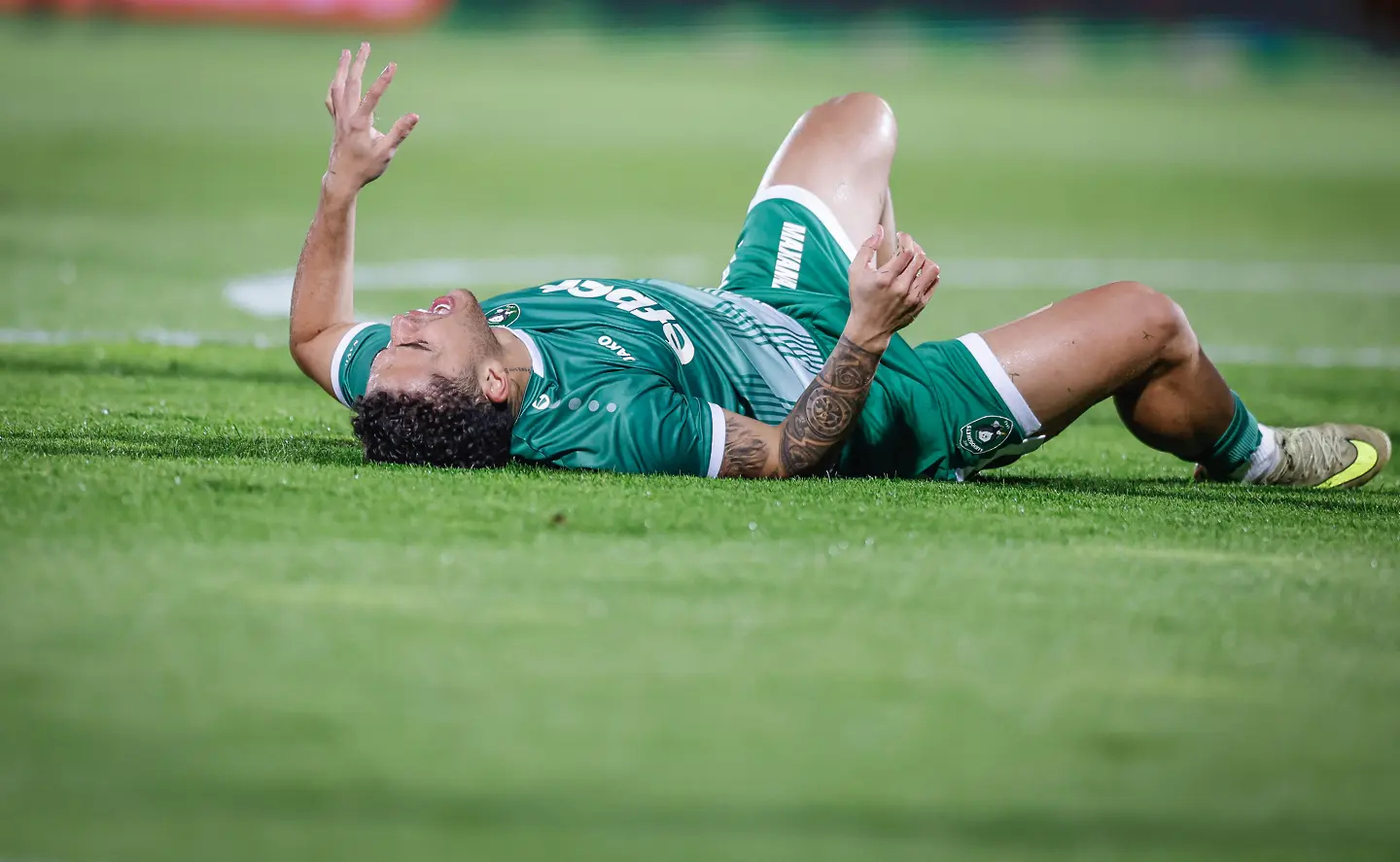 Кайо Видал / startphoto.bg