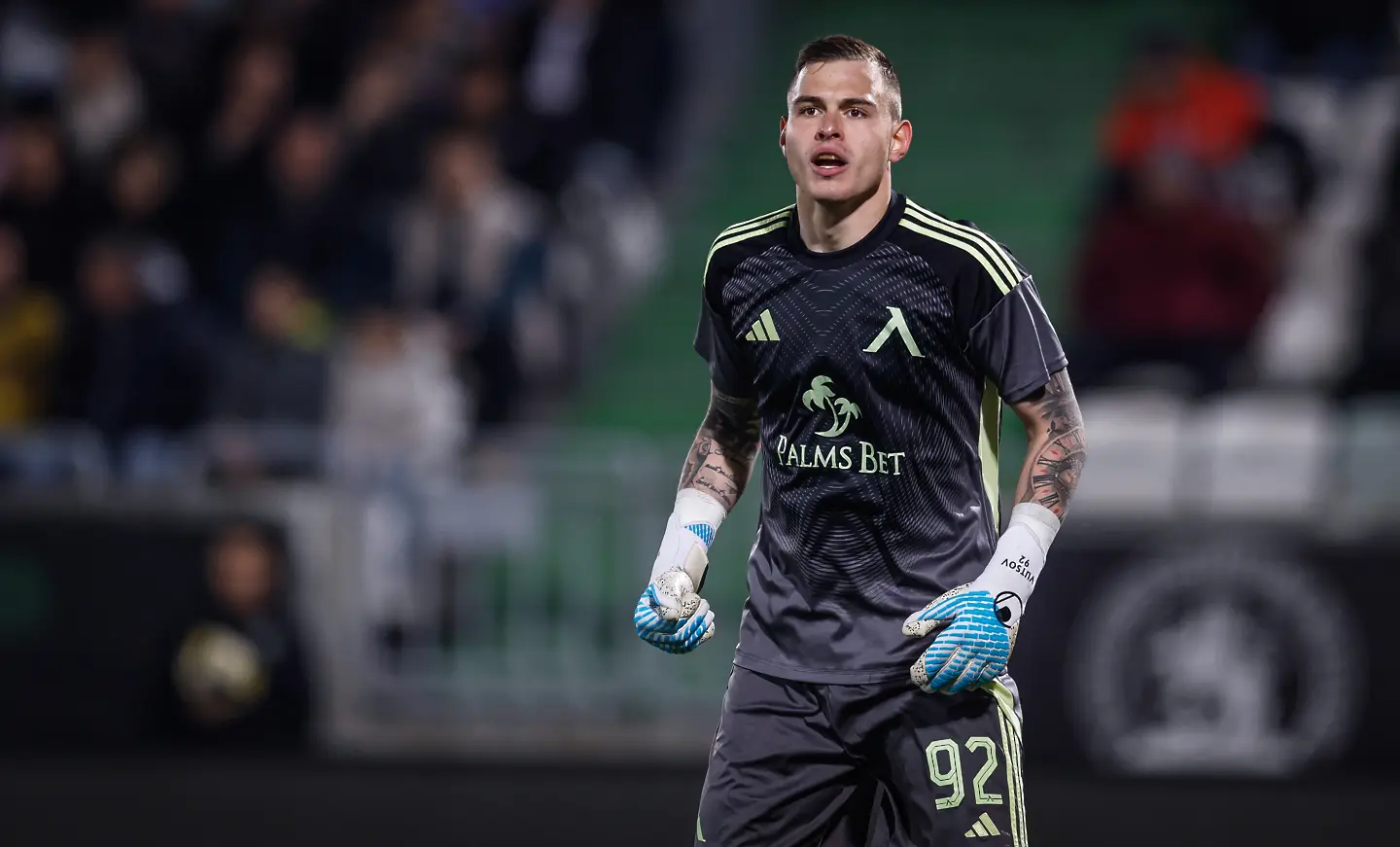 Светослав Вуцов / startphoto.bg