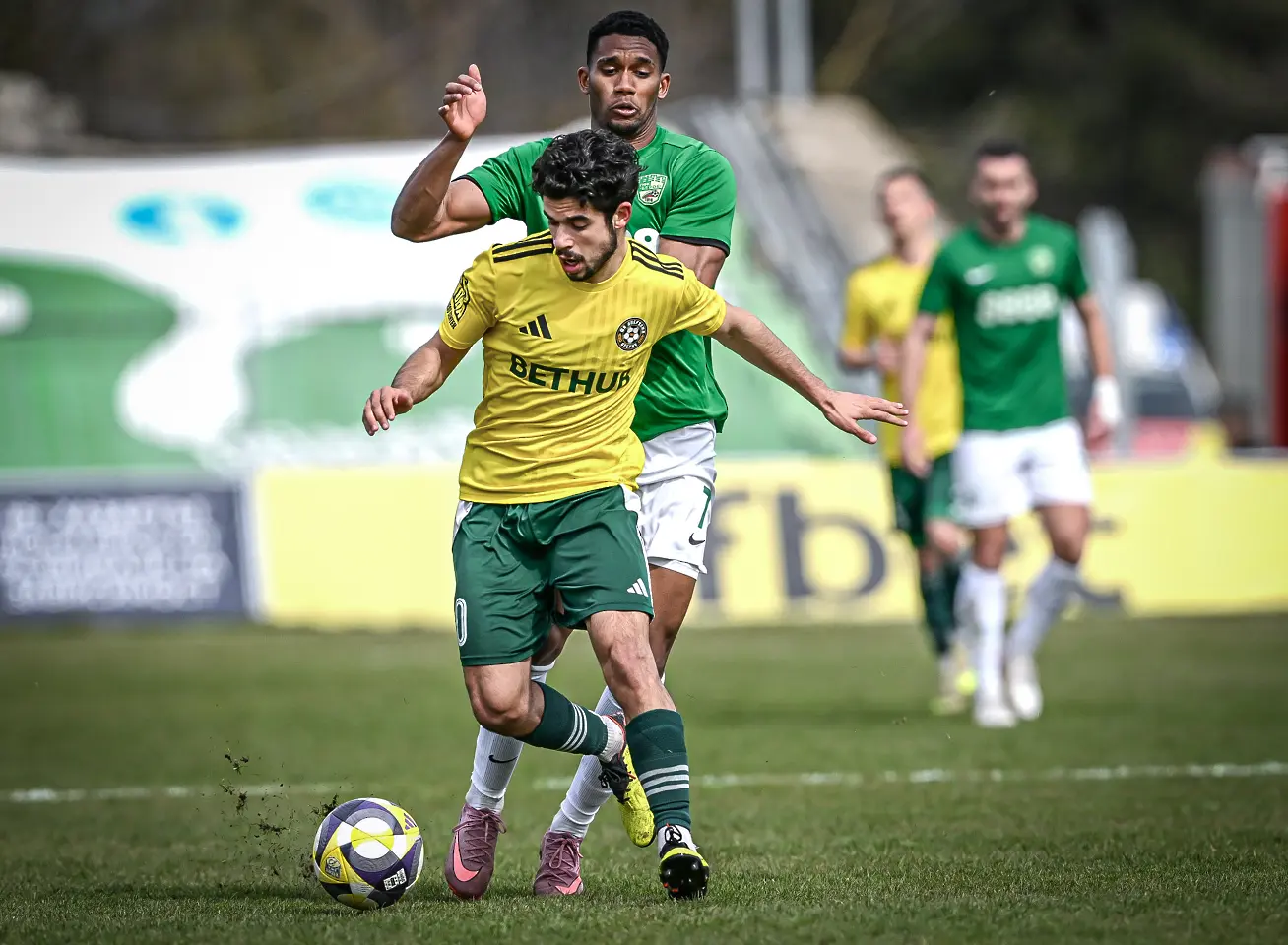 Томаш Силва, Добруджа - Берое / startphoto.bg