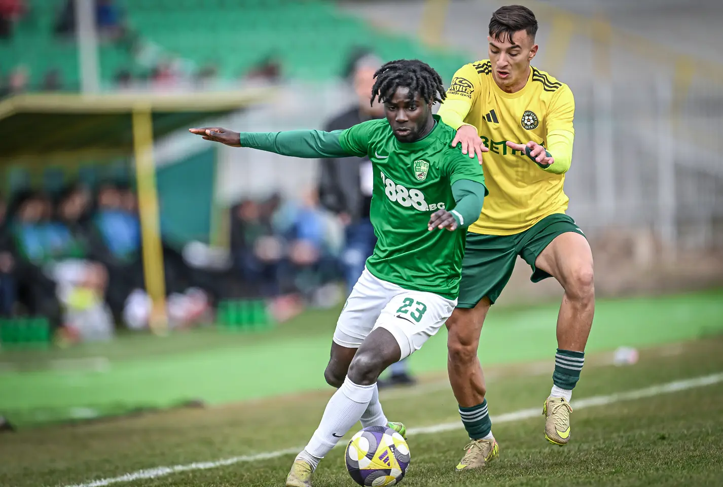 Тижан Сона, Добруджа - Берое / startphoto.bg