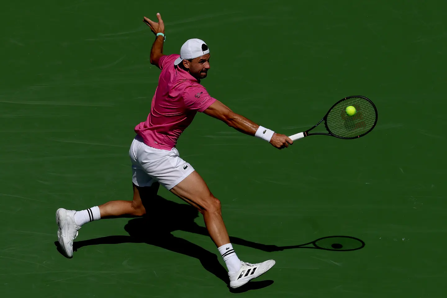 Григор Димитров / Getty Images