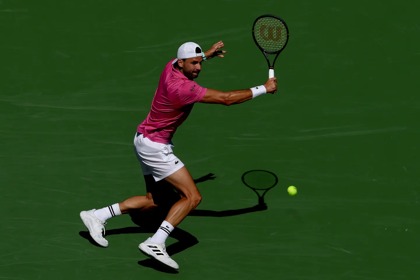 Григор Димитров / Getty Images