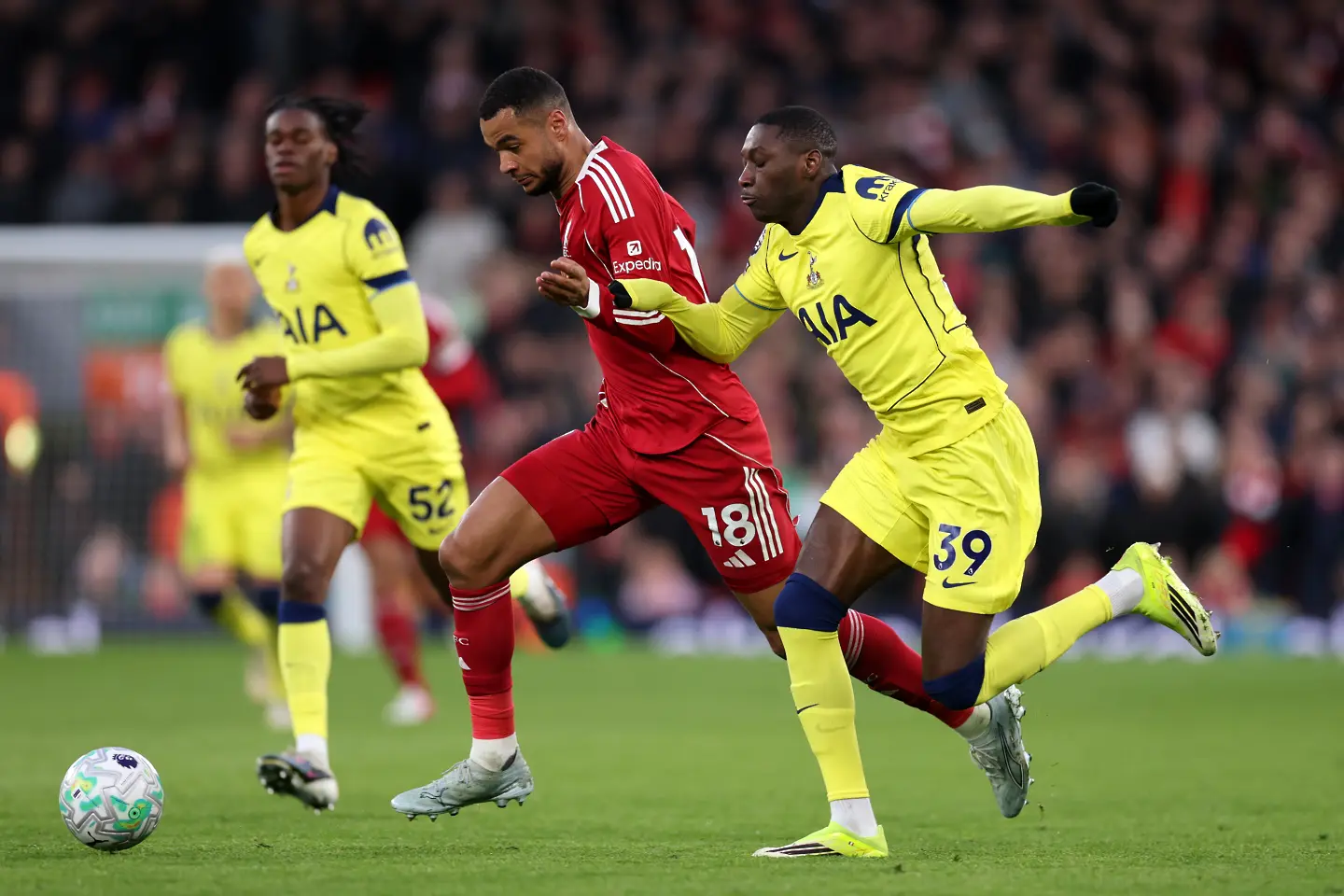 Коди Гакпо / Getty Images