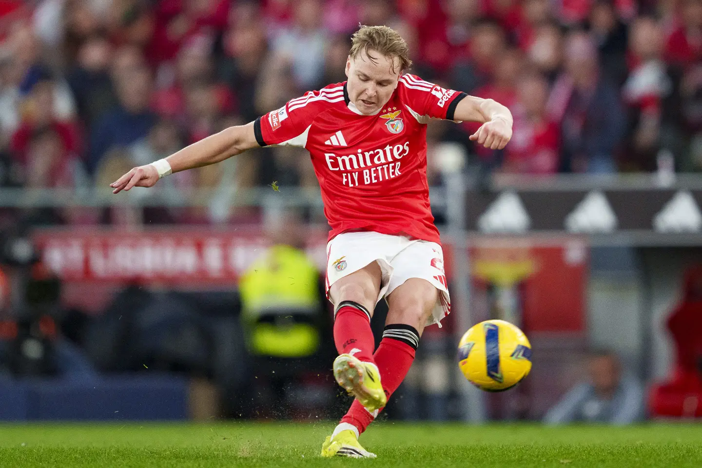 Андреас Шелдеруп / Getty Images 