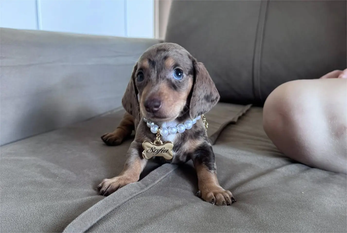 facebook.com/oficialbusatto