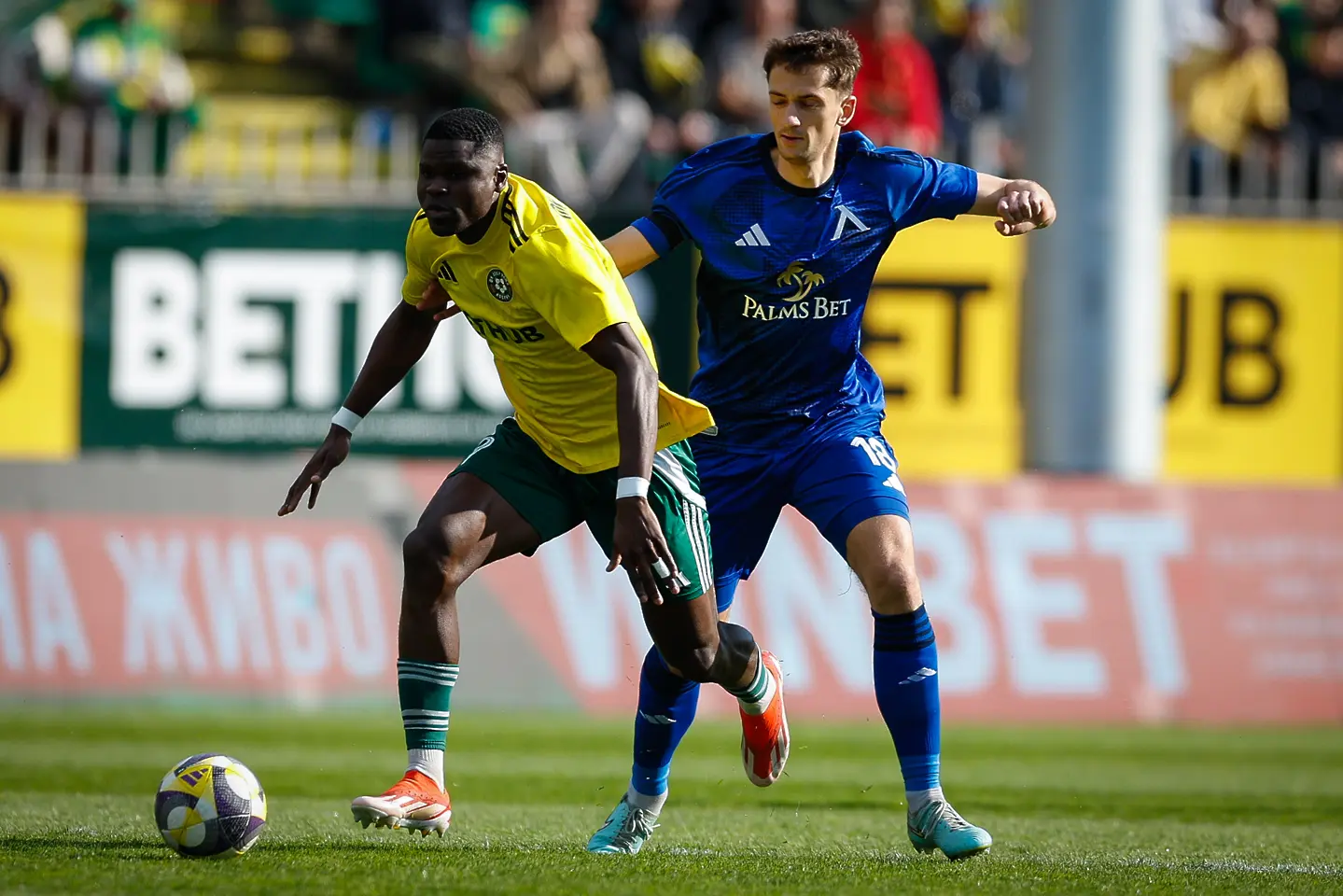 Валду Те и Гашпер Търдин / startphoto.bg