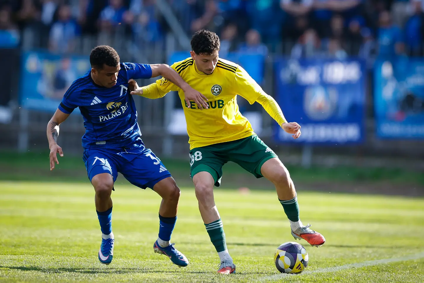 Майкон и Диого Мадалено / startphoto.bg