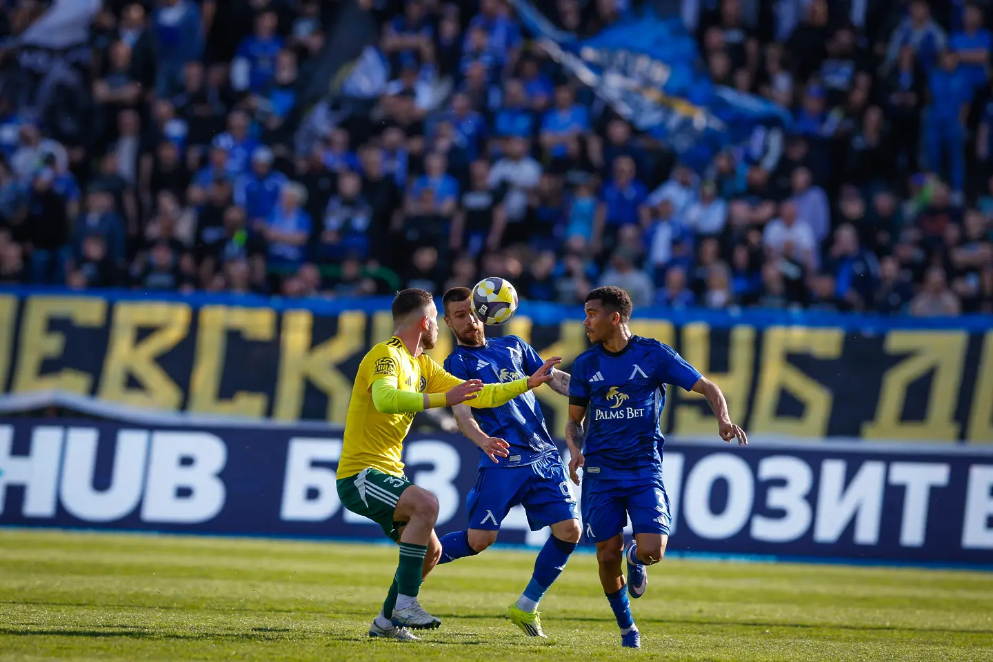 Радослав Кирилов и Майкон / startphoto.bg