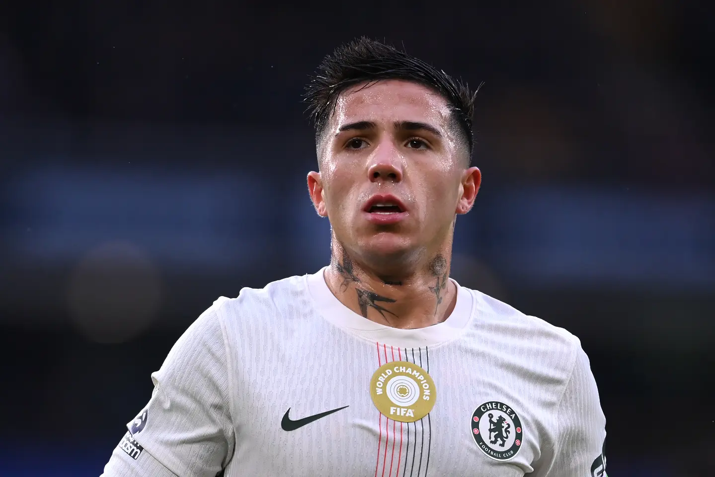 Енцо Фернандес / Getty Images