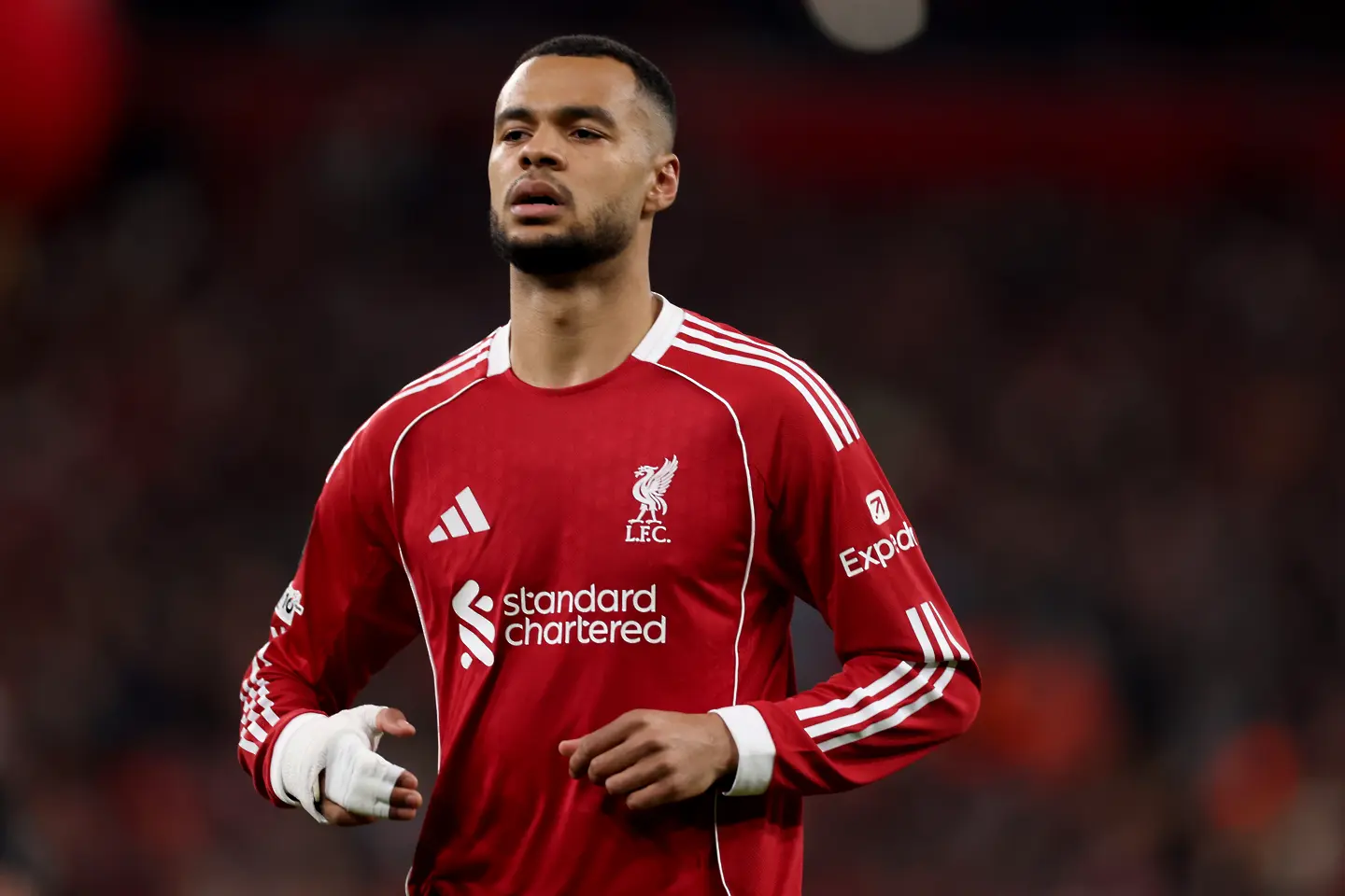 Коди Гакпо / Getty Images