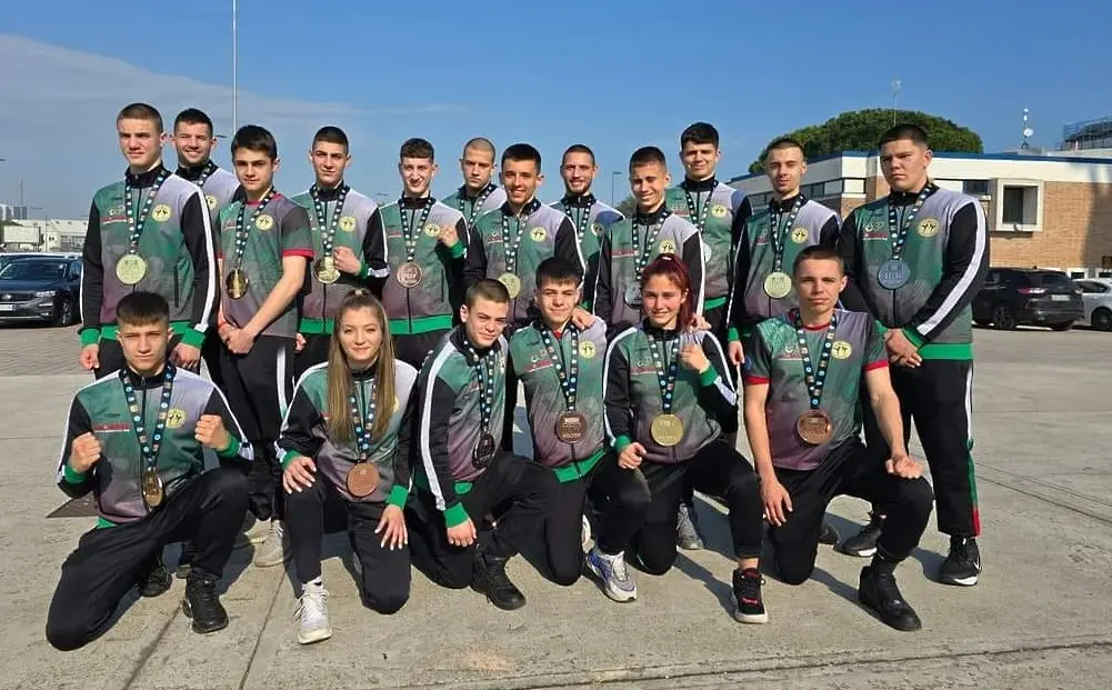 Българска федерация по кикбокс