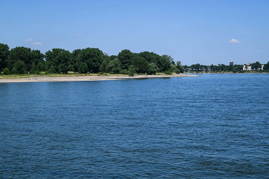 Рейн / Getty Images 