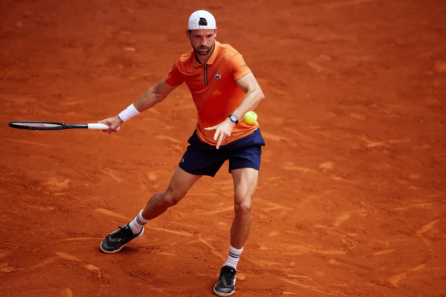 Григор Димитров / Getty Images