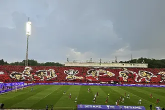 Феновете на ЦСКА с вдъхновяващи хореографии (ВИДЕО)