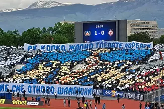 Феновете на Левски със заядлива хореография (СНИМКИ+ВИДЕО)
