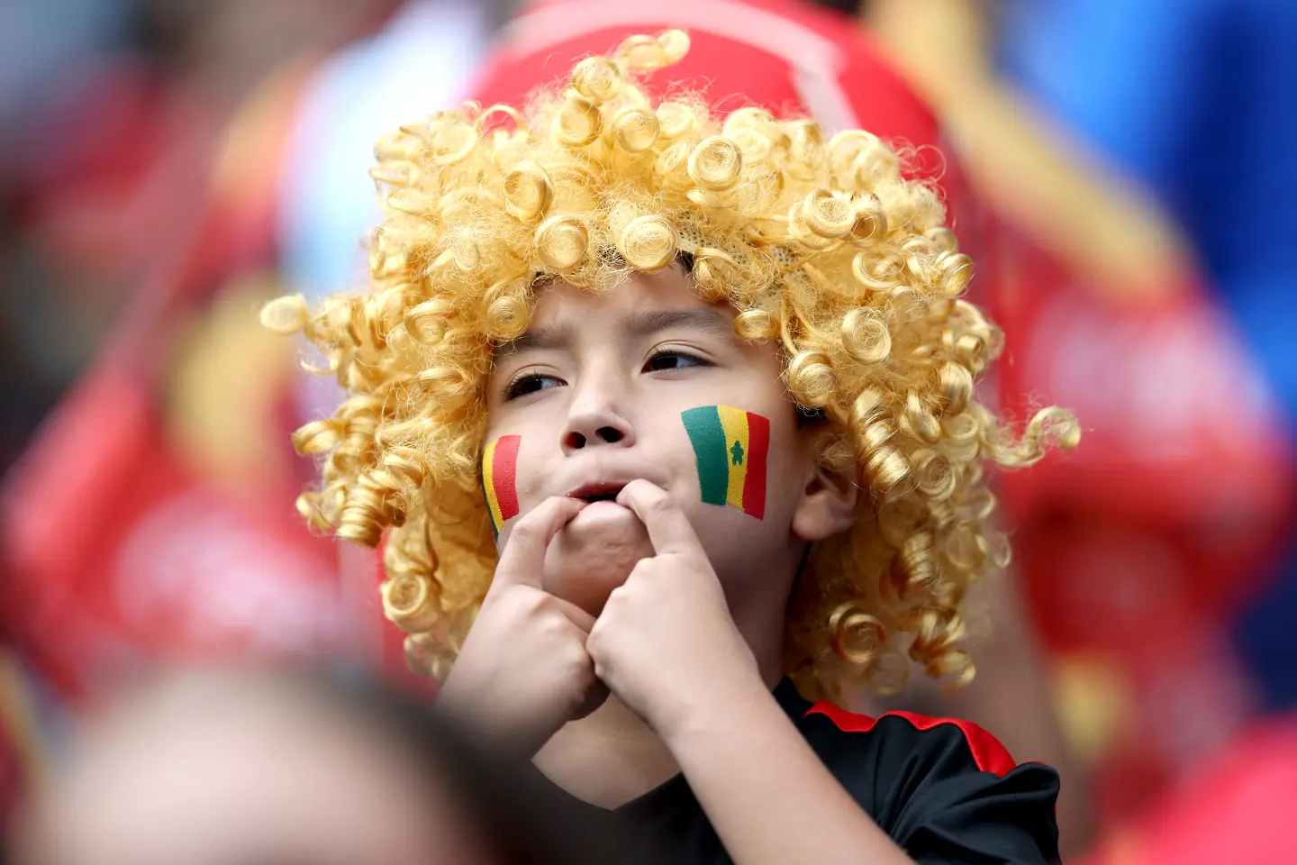 Фен на Белгия - Сенегал / Getty Images